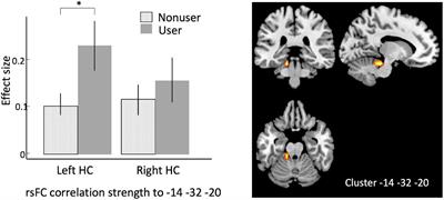 Cannabis Use and Resting State Functional Connectivity in the Aging Brain